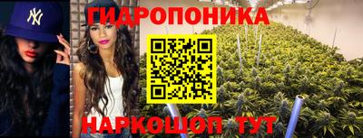 бошки Чапаевск