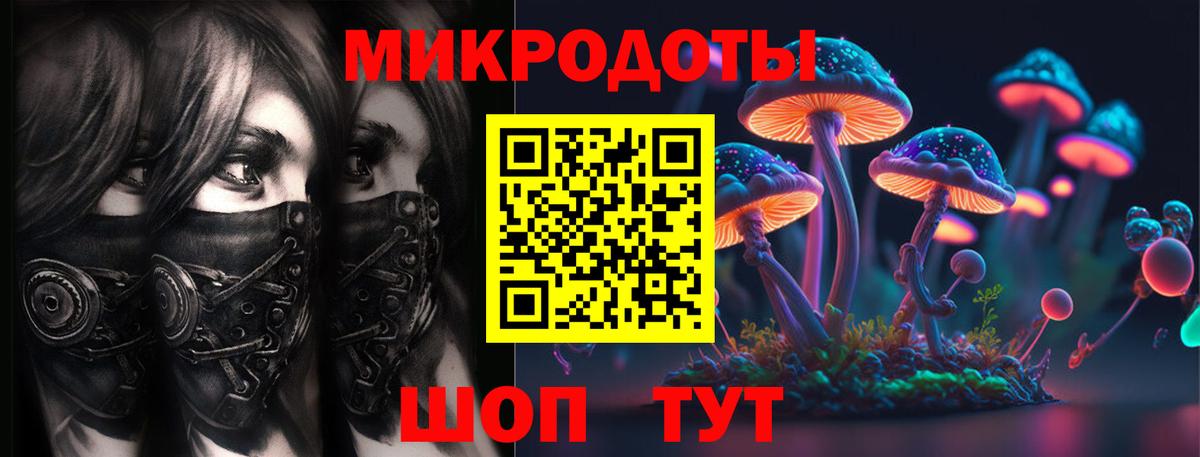 Псилоцибиновые грибы Cubensis Богданович