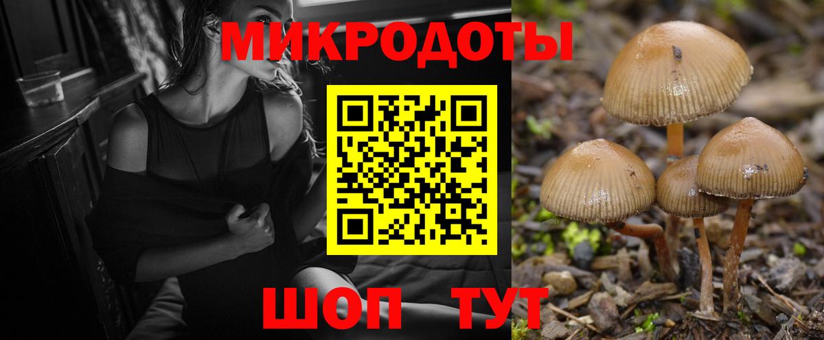 купить закладку  Вход с VPN  Богданович  Псилоцибиновые грибы Cubensis  Галлюциногенные грибы ЛСД 